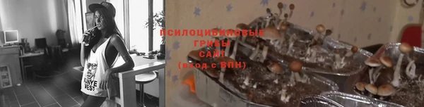 марки lsd Беломорск